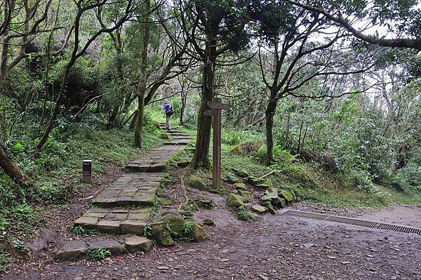 20170118面天山_110.JPG