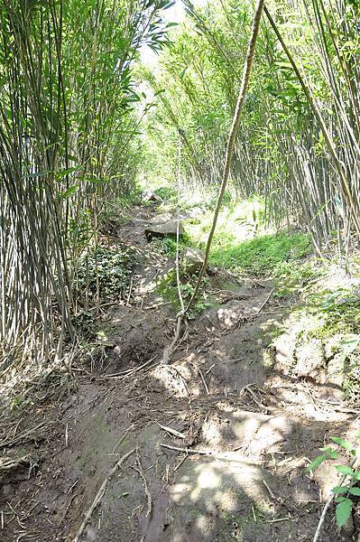 20170217小觀音山群峰_049.JPG