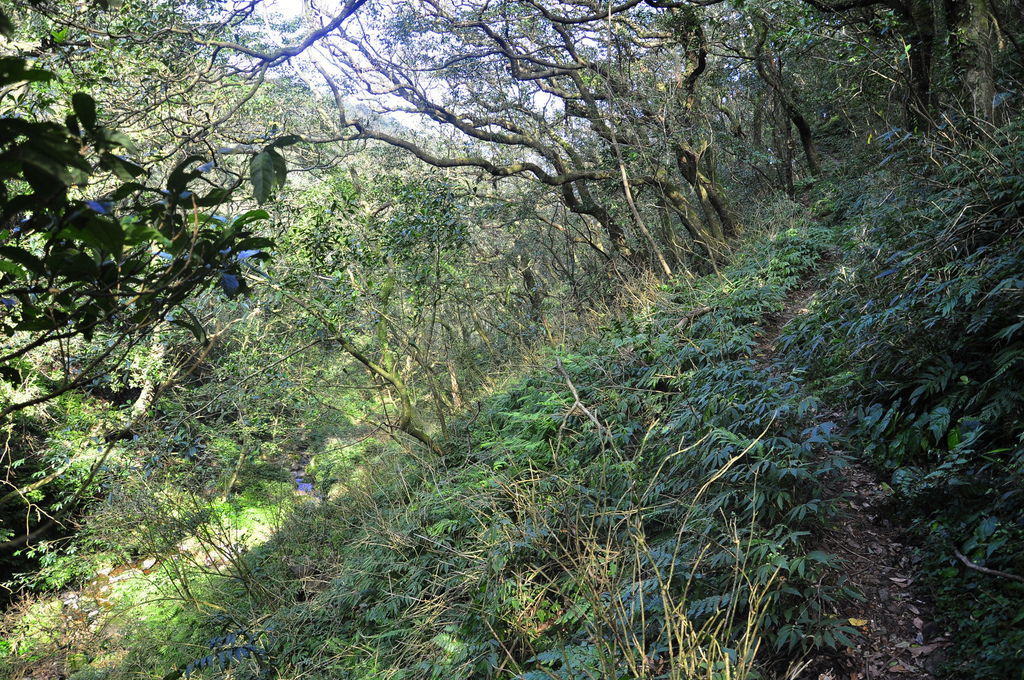 20170217小觀音山群峰_060-1.jpg