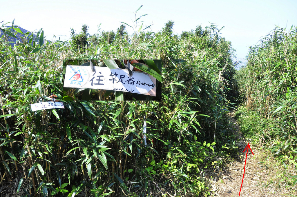 20170217小觀音山群峰_097-1.jpg