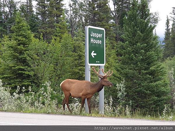 65972305_2785786311436092_6002986303975587840_n.jpg 65972305_2785786311436092_6002986303975587840_n.jpg