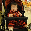 254天_20110204.JPG