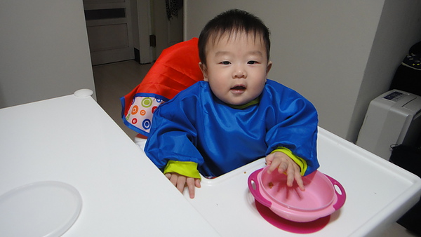 242天_20110122_1.JPG