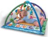 Fisher Price Songs & Smiles Gym