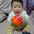 244天_20110125.JPG