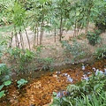 DSC_8040.JPG