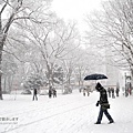 北海道大學雪中散步