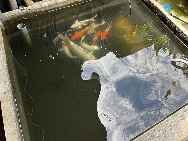 [食記] 苗栗公館 陳師傅餐食館~客家鹹湯圓、豬腳