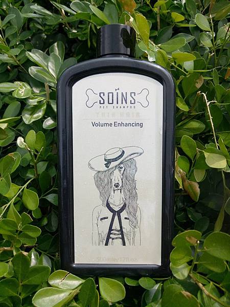 IMG20190908091105.jpg 試用