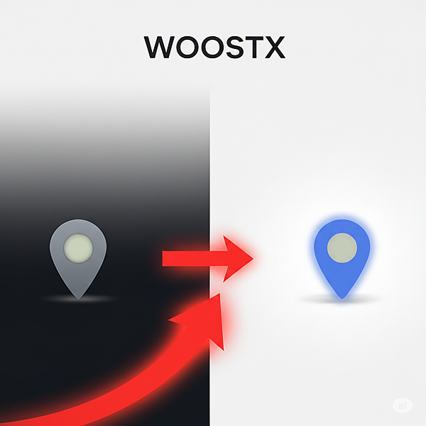 WOOSTX：讓好店被看見 - Google 地圖商家陪跑服