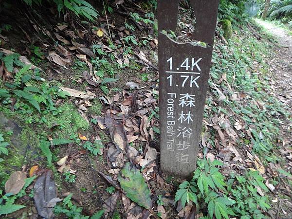 DSC07225_調整大小.JPG