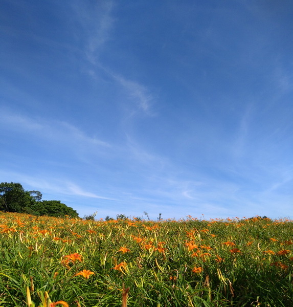 DSC_0431_調整大小.JPG