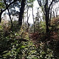 DSC09085_調整大小.JPG