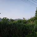 DSC09365_調整大小.JPG