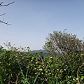 DSC09396_調整大小.JPG