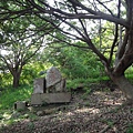 DSC09663_調整大小.JPG