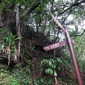 DSC00076_調整大小.JPG