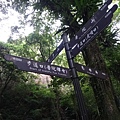 DSC00716 (2)_調整大小.JPG