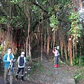 DSC00894_調整大小.JPG