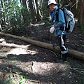 DSC01428_調整大小.JPG