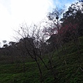 DSC01718_調整大小.JPG