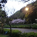 DSC02497_調整大小.JPG