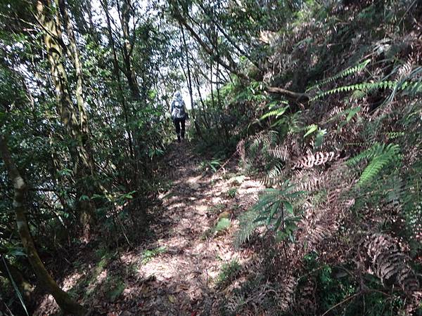 DSC02841_調整大小.JPG