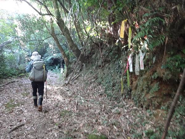 DSC03779_調整大小.JPG