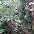 DSC03850_調整大小.JPG