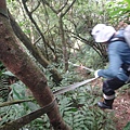 DSC03854_調整大小.JPG