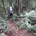 DSC03857_調整大小.JPG