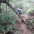 DSC03865_調整大小.JPG