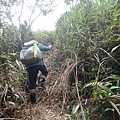 DSC03867_調整大小.JPG
