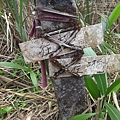 DSC03870_調整大小.JPG