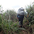 DSC03868_調整大小.JPG