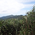 DSC03877_調整大小.JPG