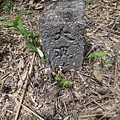 DSC03882_調整大小.JPG