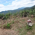 DSC03880_調整大小.JPG
