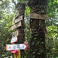 DSC03887_調整大小.JPG