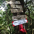 DSC03886_調整大小.JPG