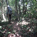 DSC03889_調整大小.JPG