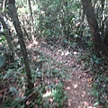 DSC03890_調整大小.JPG