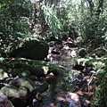 DSC03895_調整大小.JPG