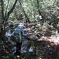DSC03904_調整大小.JPG