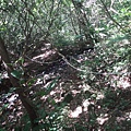 DSC03908_調整大小.JPG