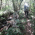 DSC03905_調整大小.JPG
