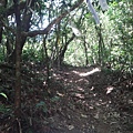 DSC03910_調整大小.JPG