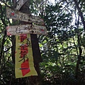 DSC03913_調整大小.JPG
