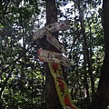 DSC03912_調整大小.JPG