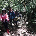 DSC03916_調整大小.JPG